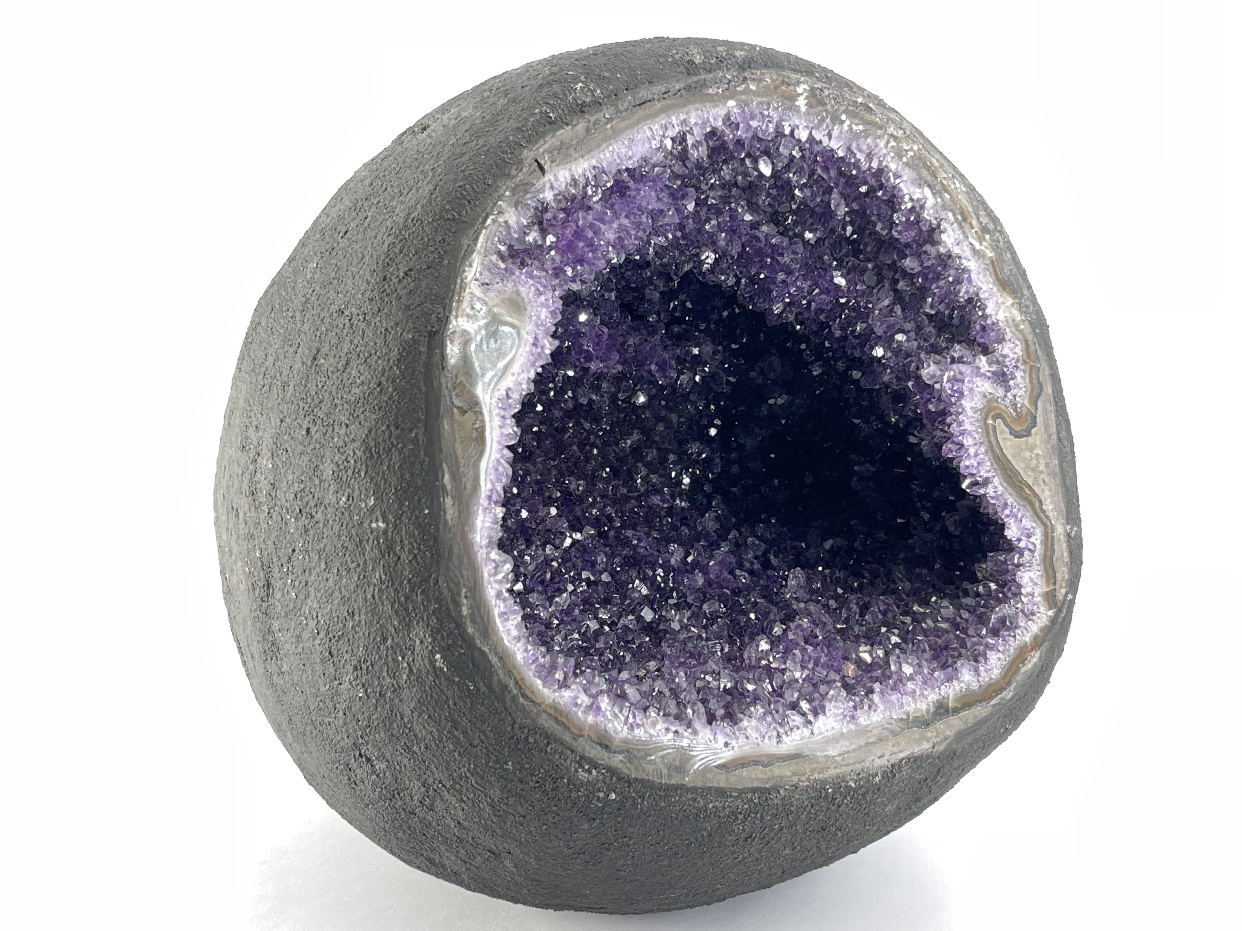 Окаменелости